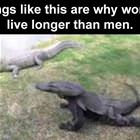 Things Like This
