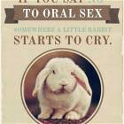 Think Of The Bunnies