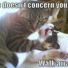 This Doesnt Concern You