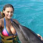 This Dolphin Has Moves