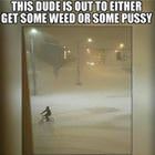 This Dude