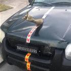 This Guy Gets It