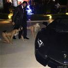 This Guy Has Life All Figured Out