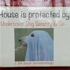 This House Is Protected