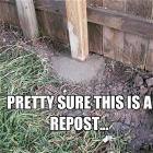 This Is A Repost