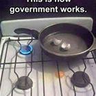 This Is How Government Works
