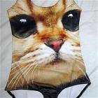This Is Meow