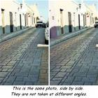This Is The Same Photo