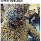 This Is The Tooth Fairy