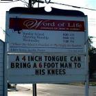 This Is True