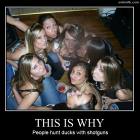 This Is Why