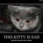 This Kitty Is Sad