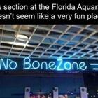 This Place Seems Boring