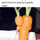 This Poor Baby Carrot