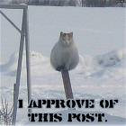 This Post