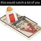 This Would Catch You