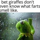 Those Damn Long Necks