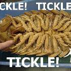 Tickle Tickle