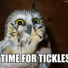 Time For Tickles