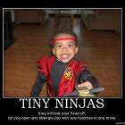 Tiny Ninjas