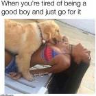 Tired Of Being A Good Boy