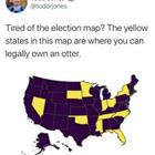 Tired Of The Election Map