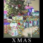 Tis The Season