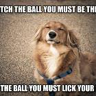 To Catch The Ball