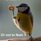 To Nom Or Not To Nom