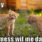 Today Not Mess Wif Me