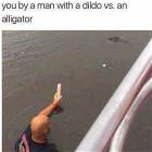 Todays Florida Moment