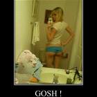 Toilet Paper