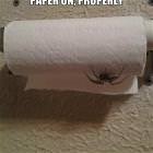 Toilet Paper