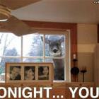 Tonight