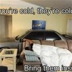 Too-cold-out-there