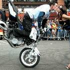 Too Bad He Didnt Fall