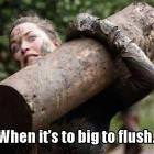 Too Big To Flush