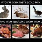 Too Cold
