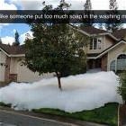 Too Much Soap