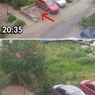 Took A Spot