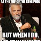 Top Of The Gene Pool