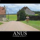 Town Of Anus