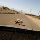 Traffic Is Backed Up