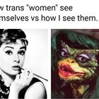 Trans Dudes