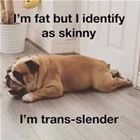 Trans
