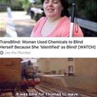 Transblind
