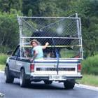 Transport