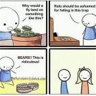 Traps