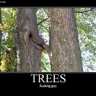 Trees