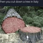 Trees In Italy